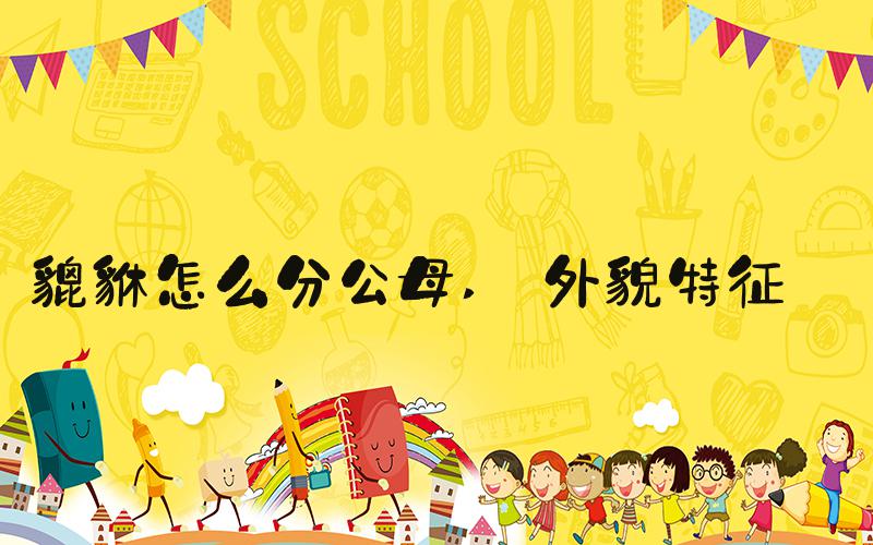 貔貅怎么分公母  外貌特征 